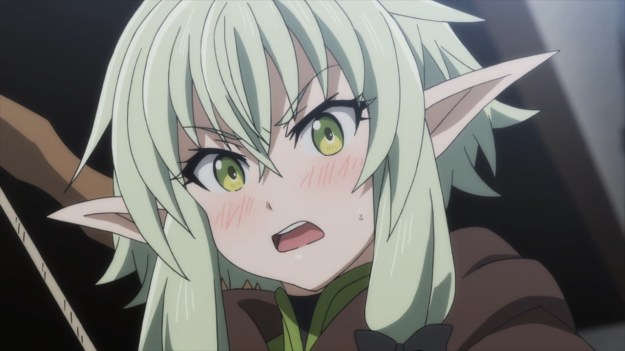 goblin slayer - 03 - large 03
